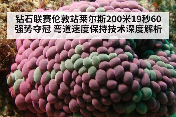 钻石联赛伦敦站莱尔斯200米19秒60强势夺冠 弯道速度保持技术深度解析